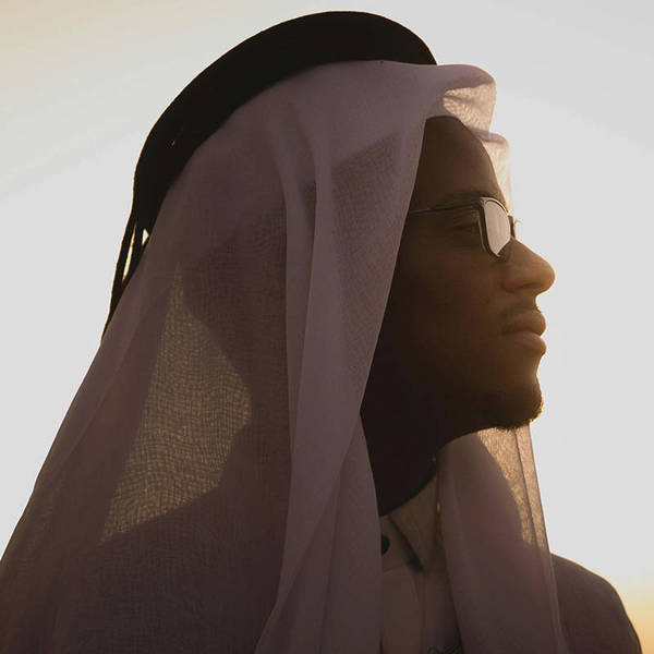 Amer Al Falahi